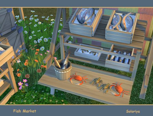 Fish Market