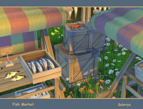 Fish Market
