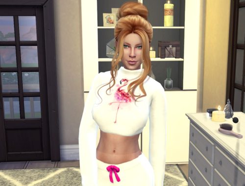 Flamingo Crop Hoodie (Mesh Required)