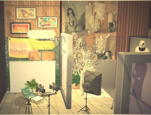 Flash Studio