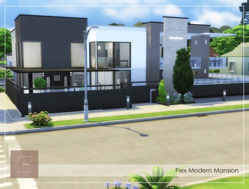 Flex Modern House NoCC