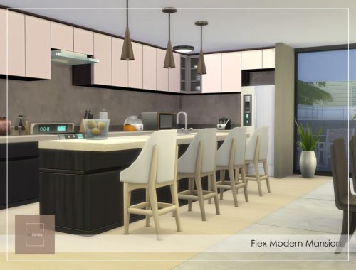 Flex Modern House NoCC