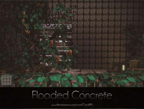 Flooded Concrete