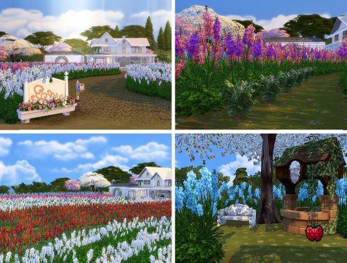 Florence farm- no cc