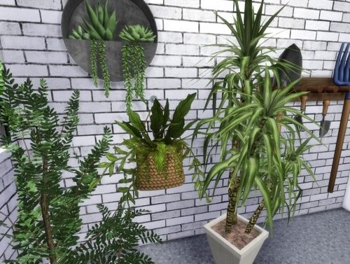 FLORIST SHOP at MODELSIMS4