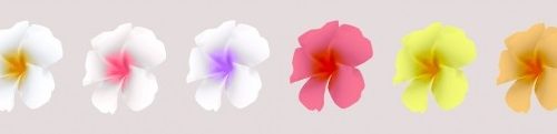 FM island sets at Bedisfull – iridescent