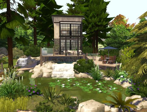 Forest House Evergreen - No CC