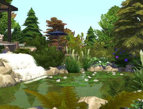 Forest House Evergreen - No CC
