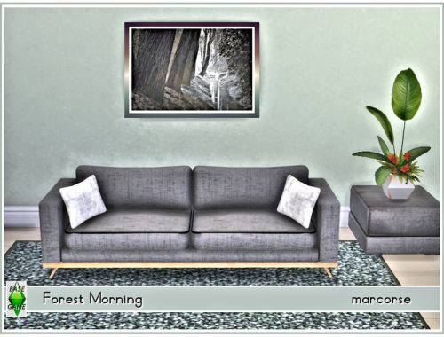 Forest Morning_marcorse