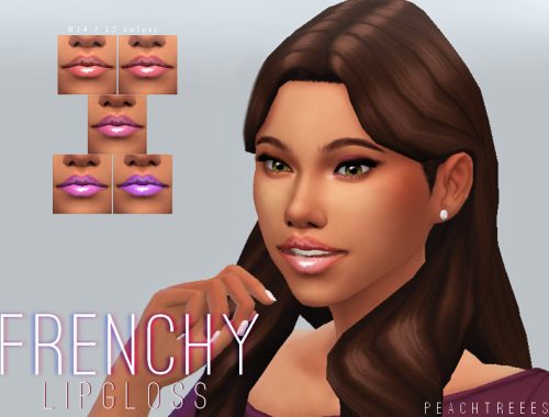 Frenchy Lipgloss N14