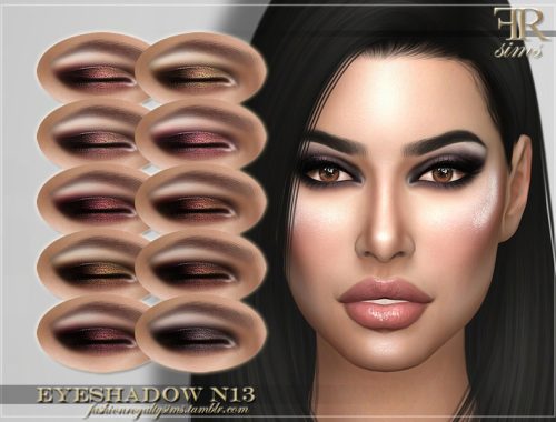 FRS Eyeshadow N13