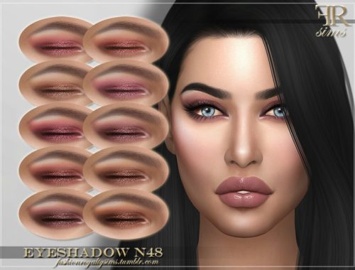 FRS Eyeshadow N48