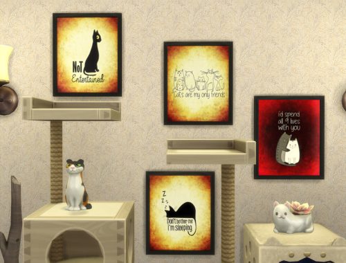 Funny Cats