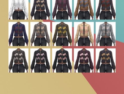 Fur Jacket at Busted Pixels