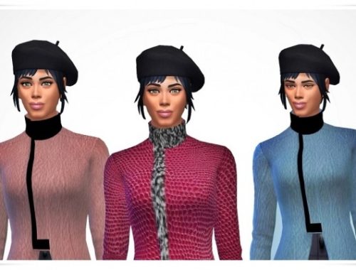 Fur & Leather Coat at Birksches Sims Blog