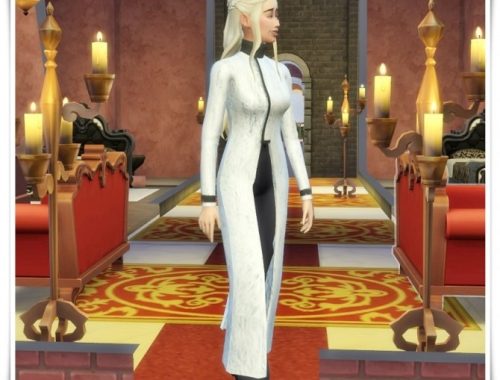 Fur & Leather Coat at Birksches Sims Blog