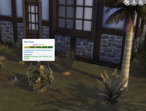 Gardening for All Seasons by gettp