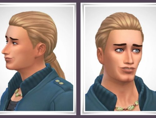 Gents Smooth Pony Tail Hair at Birksches Sims Blog