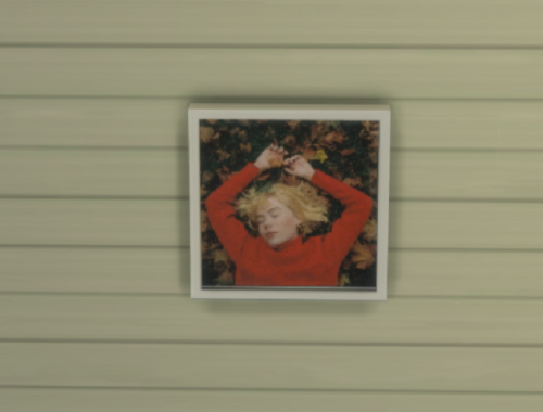Girl in red covers
