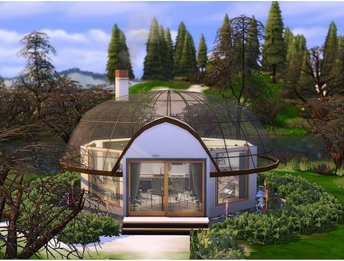 Glass Igloo