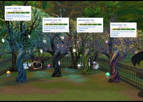 GLOWY TREES at Icemunmun
