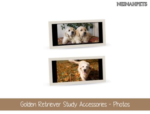 Golden Retriever Study Accessories Collection {MESH REQUIRED}