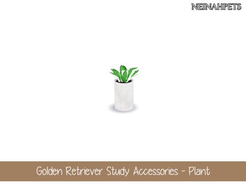 Golden Retriever Study Accessories Collection {MESH REQUIRED}
