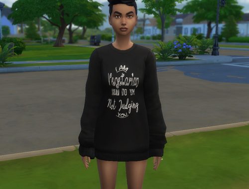 Good Vegetarian! Sweater - Mesh needed