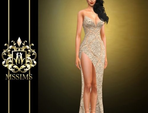 GRAY GOWN at MSSIMS