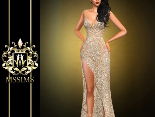 GRAY GOWN at MSSIMS