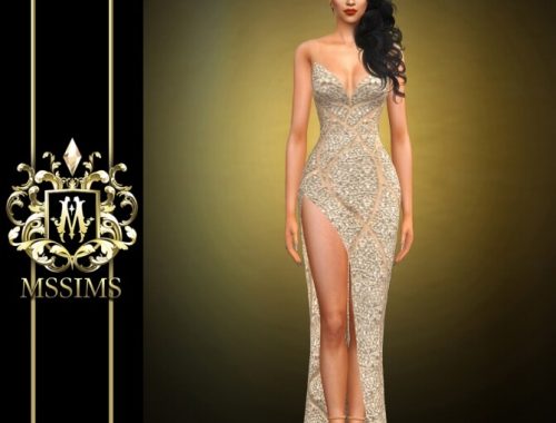 GRAY GOWN at MSSIMS