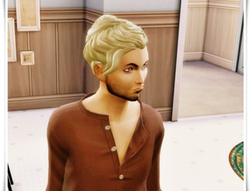 Grayson Hair at Birksches Sims Blog