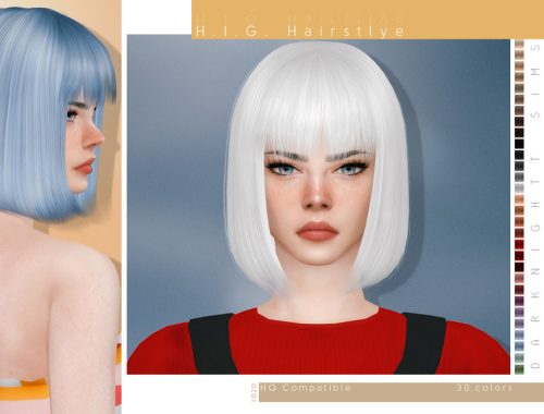 H.I.G. Hairstyle