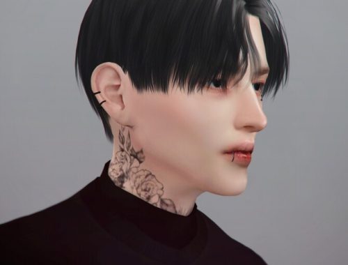 Hair Dawn v1 Remake at MMSIMS