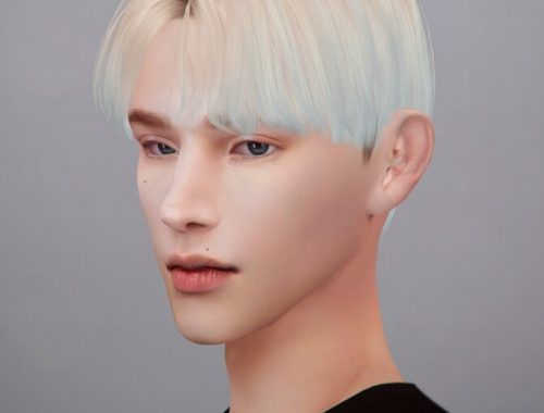 Hair Dawn v2 Remake at MMSIMS