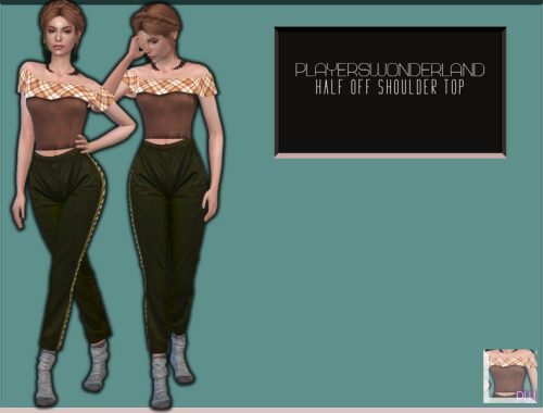 Half Off Shoulder Top