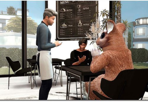 Hamster Costume at Sims4-Boutique