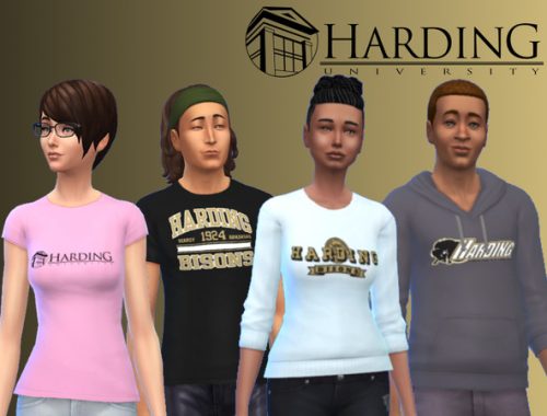 Harding University Bisons collection