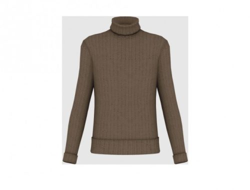 Harold Lloyd Turtleneck Sweater at Happy Life Sims