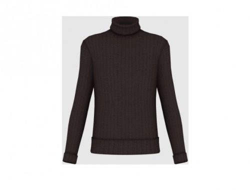 Harold Lloyd Turtleneck Sweater at Happy Life Sims