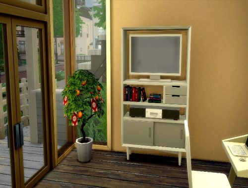Harry | No CC