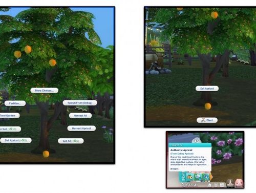 HARVESTABLE APRICOT at Icemunmun