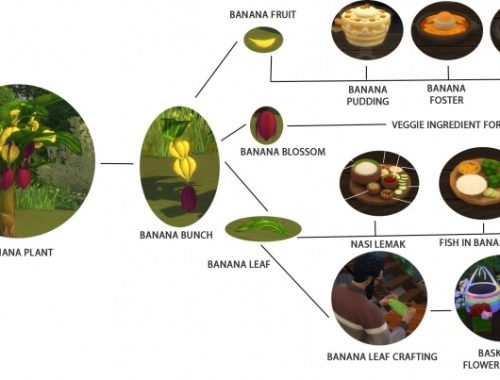 HARVESTABLE BANANA PLANT at Icemunmun