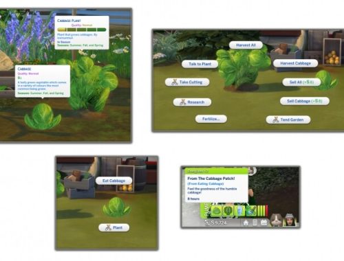 HARVESTABLE CABBAGE at Icemunmun