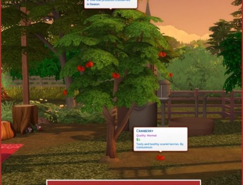 HARVESTABLE CRANBERRY
