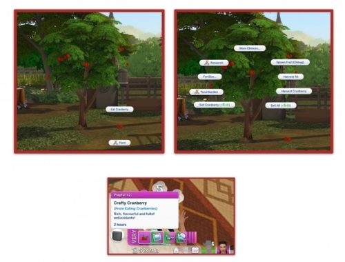 HARVESTABLE CRANBERRY