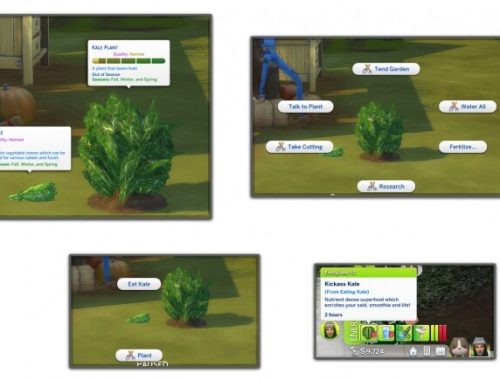 HARVESTABLE KALE at Icemunmun