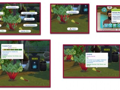 HARVESTABLE RHUBARB at Icemunmun