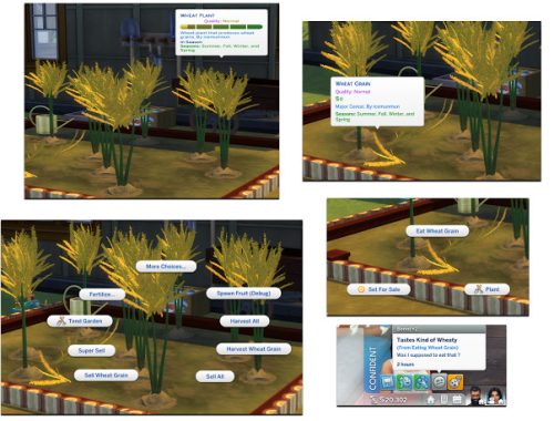 HARVESTABLE WHEAT at Icemunmun