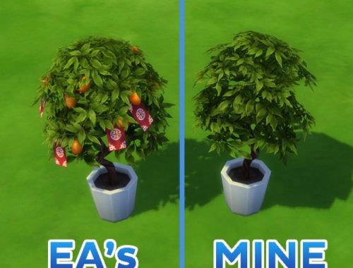 Harvested Citrus Tree by simsi45 at Mod The Sims